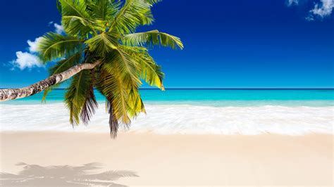 Tropical Beach Wallpapers, Pictures, Images