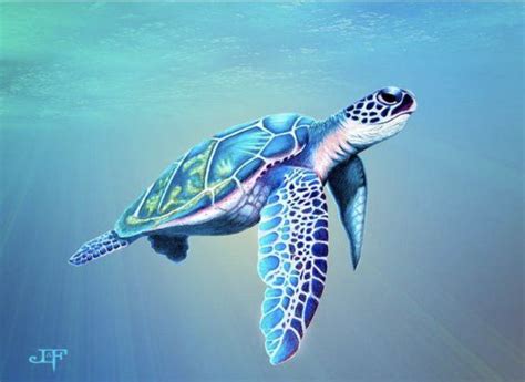 Pin by Fantasma-- on UNDER THE SEA | Sea turtle art, Sea turtle painting, Sea turtle drawing