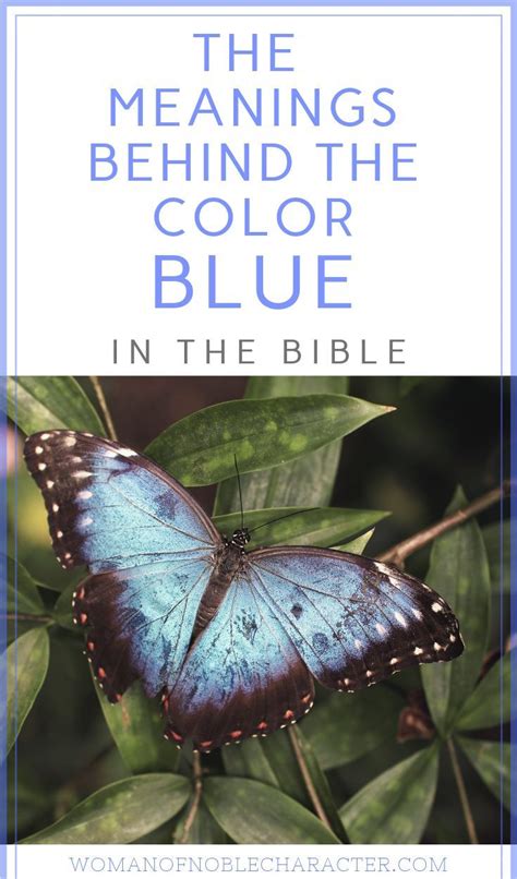 The Color Blue in the Bible: Its Intriguing Significance | Bible study scripture, Bible, Bible ...