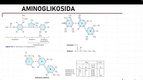 ANTIBIOTIK - AMINOGLIKOSIDA - YouTube