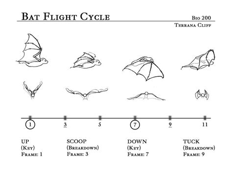 My attempt at making wings out of greenstuff | The Tyranid Hive