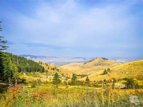 Visiting the Bison Range in Montana - Our Wander-Filled Life