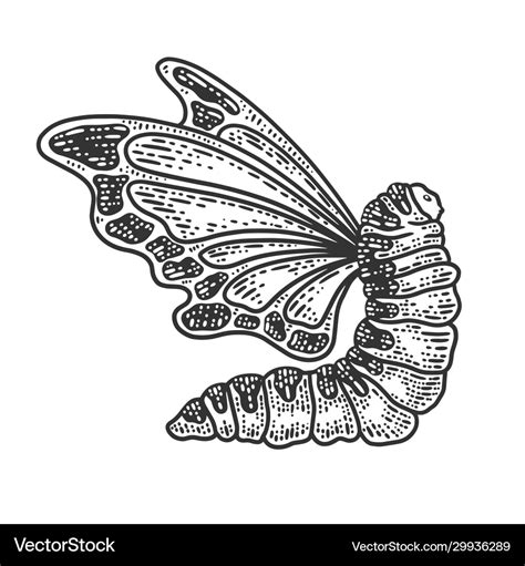 Caterpillar with butterfly wings sketch Royalty Free Vector