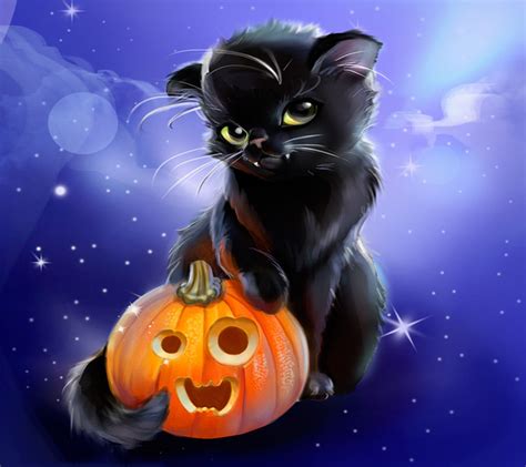 Black cat halloween, Halloween funny, Halloween cat