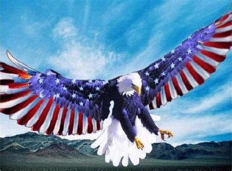 Free download American Eagle Flags American Eagle American Flag [1500x1331] for your Desktop ...