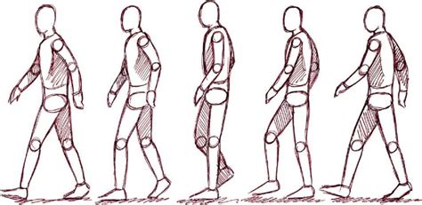 Walk cycles | Walking animation, Drawings, Animation reference