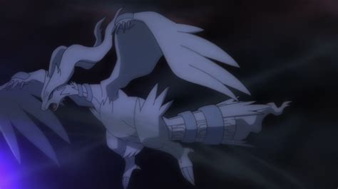 Reshiram (MS018) | Pokémon Wiki | Fandom powered by Wikia