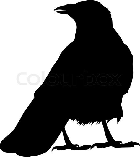 Raven vector silhouette | Stock Vector | Colourbox