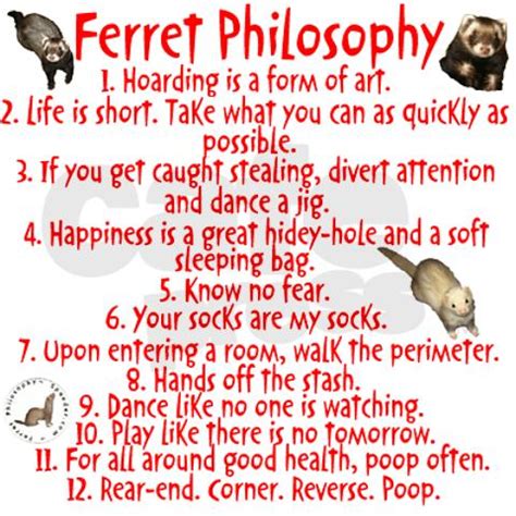 Ferret Love Quotes. QuotesGram