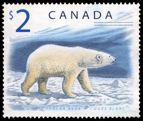 Polar Bear - Canada Postage Stamp | Canadian Wildlife