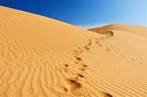 Sand dunes in Sahara — Stock Photo © fyletto #18310241