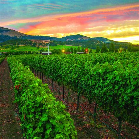 Best Medford Restaurants in Southern Oregon Wine Country