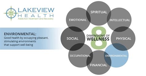 8 Dimensions of Wellness: Environmental | Lakeview Health