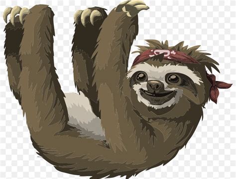 Pygmy Three-toed Sloth Free Content Clip Art, PNG, 800x625px, Sloth ...