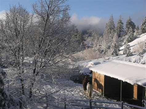 My Lake Arrowhead backyard in snow | Lake arrowhead, Lake, Outdoor