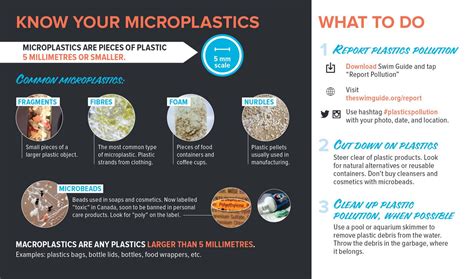 Microplastics can be found across waterways and on shorelines. To help ...