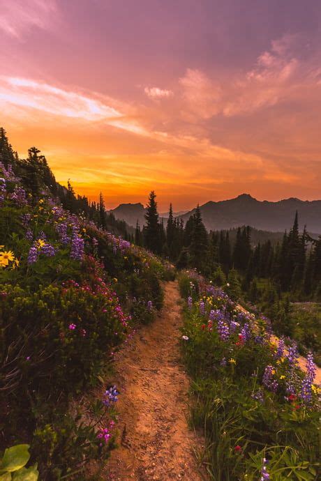 Pathway to blazing glory | Nature photography, Pretty landscapes, Nature aesthetic