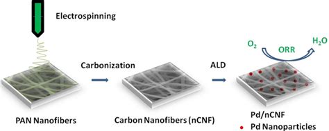 Atomic Layer Deposition of Pd Nanoparticles on N‐Doped Electrospun Carbon Nanofibers ...