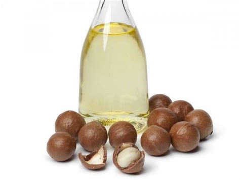 8 Surprising Benefits of Macadamia Nut Oil | Organic Facts