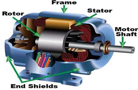 Construction of 3-phase induction motor - Polytechnic Hub