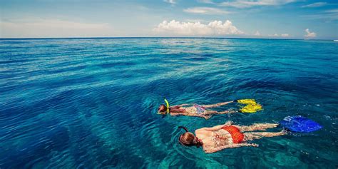 5 Spots with the Best Snorkeling on the Big Island | Big Island Guide