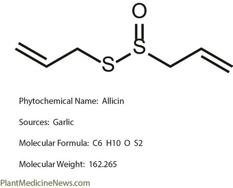 Phytochemical Monograph: Allicin - Plant Medicine News