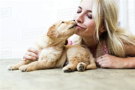 Owner kissing Golden Retriever puppy - Stock Photo - Dissolve