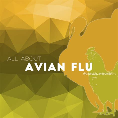 Avian Flu - Pathology and Ponies