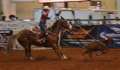 Calf roping | News | duncanbanner.com