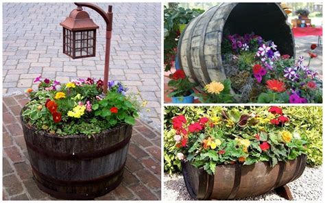 Wildly Whimsical Barrel Planter Ideas - Garden Lovers Club