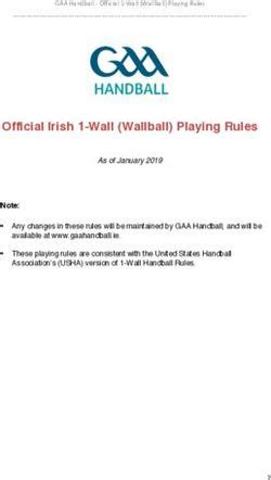 Official Irish 1-Wall (Wallball) Playing Rules - GAA Handball