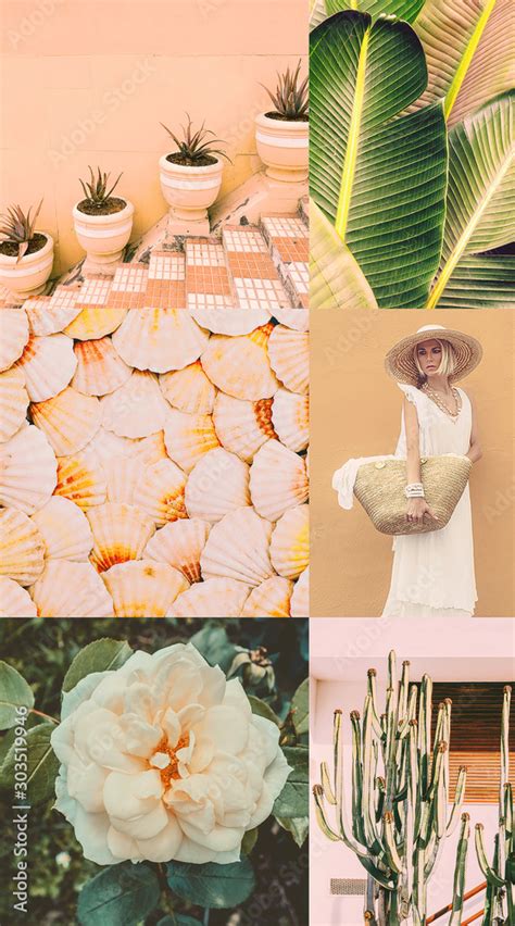 Fashion aesthetic moodboard. Beige nature shades. Travel mood Stock ...