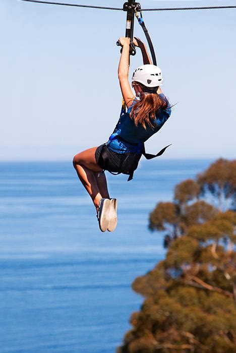 Catalina Island Zipline Tour with Transportation - Los Angeles, CA ...