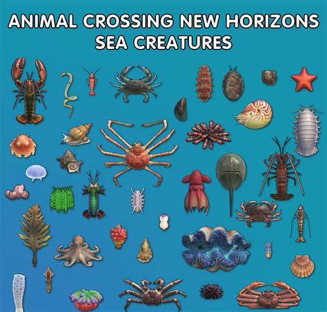 Animal Crossing Sea Creatures Chart