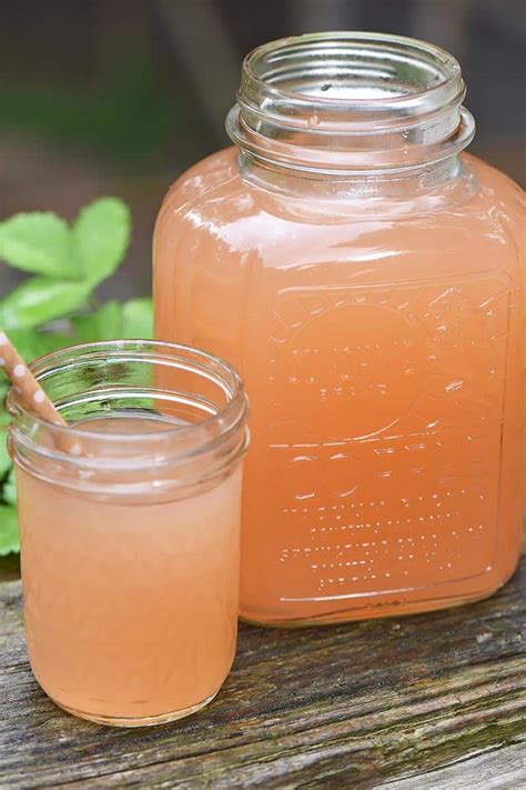 How to Make Homemade Apple Juice without a Juicer - Adventures of Mel