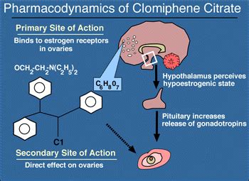 Clomid Oromone Duphaston