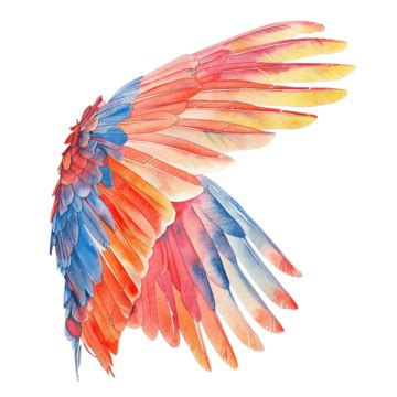 Vibrant Bird S Wing Watercolor Painting, Bird, Wing, Watercolor PNG ...