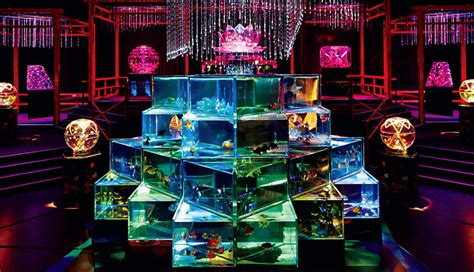 Updated: A Magical Art Aquarium is Opening in Tokyo This August! - Obsessed with Japan