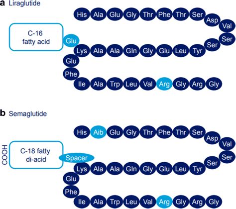 The Rollercoaster Journey of GLP-1: Liraglutide,Dulaglutide,Semaglutide ...