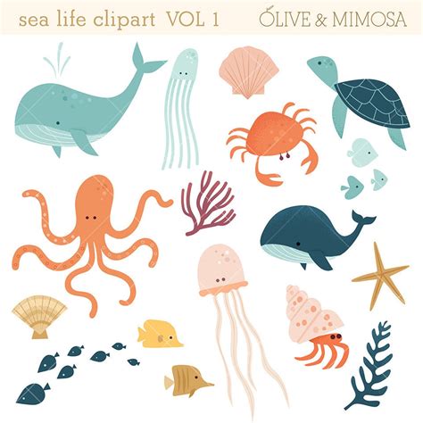 Sea Animals Clip Art Images VOL 1, Sea Life Illustrations, Cute Ocean ...