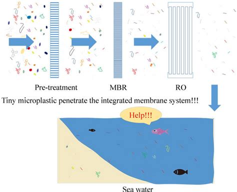 Microplastics Removal by IMS Efficient Compared To Other Methods