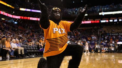 NBA 2021: Phoenix Suns Gorilla mascot shoe deal with Guest List news | Daily Telegraph