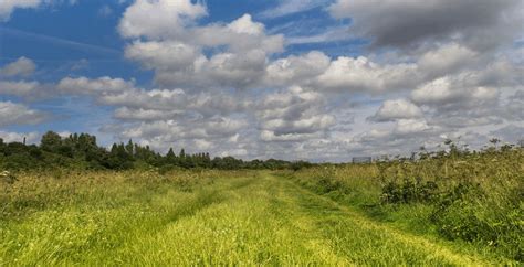 Wormwood Scrubs: History, Facilities And Nature | GraftinGardeners Ltd