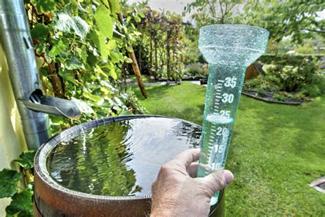 Buying & Installing a Rain Gauge? Consider These 5 Key Factors