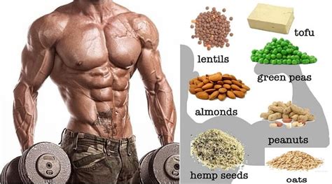 Top 11 High Protein Vegetarian Foods for Muscle Building