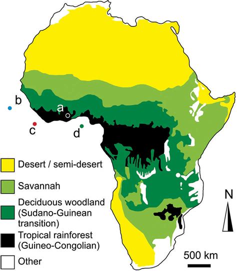 život Šílenství Výdaje african rainforest map bláhový Primitivní Genealogie