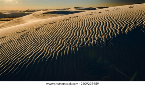 6 Desert Safari Dubai 4k Images, Stock Photos & Vectors | Shutterstock