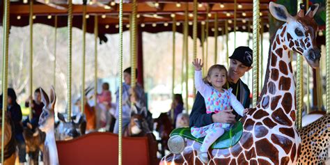 Speedwell Conservation Carousel | Smithsonian's National Zoo and ...