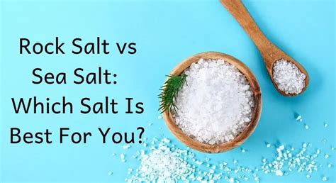 Choosing The Perfect Salt Rock Salt Vs Sea Salt Explained