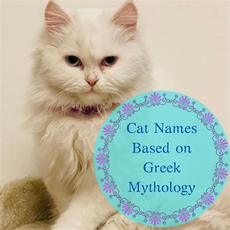 15 Cat Names Based on Greek Mythology (From Aphrodite to Zeus) - PetHelpful